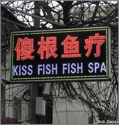 Kiss Fish Spa Muslim Quarter Xi'An